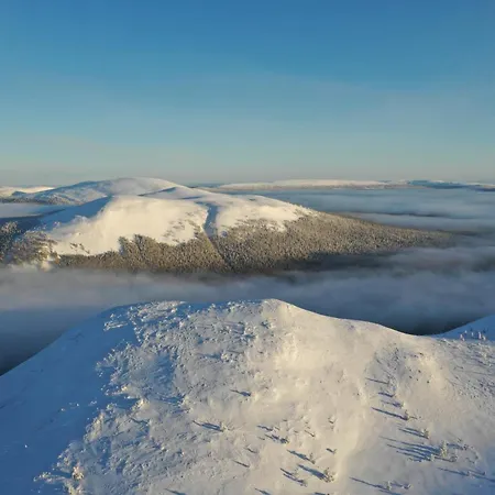 In Lapland - Yllaes Sivulantie 4 214